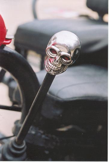 skull.jpg (20591 bytes)